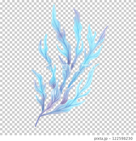 Blue underwater seaweed branch. Watercolor, marker illustration. Hand drawn isolated art. Marine botanical clipart of seaweed. Natural form of ocean flora. Suitable for ecology, health, travel themes. 122598230