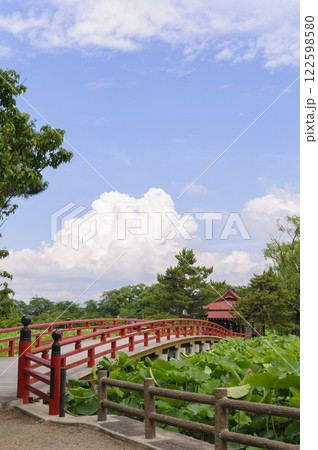 猿賀公園の赤い橋　青森、平川市 122598580