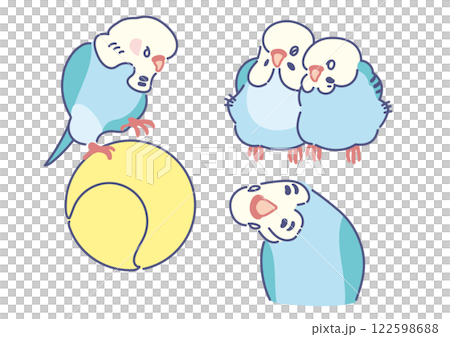 各式各樣的虎皮鸚鵡 各式各樣的虎皮鸚鵡 122598688