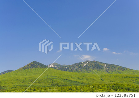 初夏の八甲田山 122598751