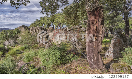 Protected Landscape Monte Valcorchero y Sierra del Gordo, Caceres, Spain 122599187