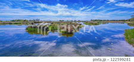 Tablas de Daimiel National Park, Spain 122599281