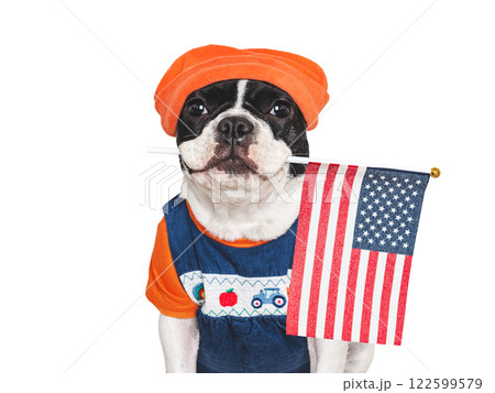 Charming puppy and American Flag. Studio shot 122599579