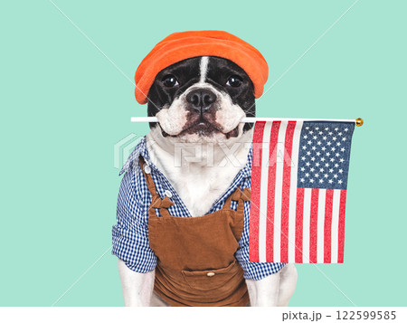 Charming puppy and American Flag. Studio shot Charming puppy and American Flag. Studio shot 122599585