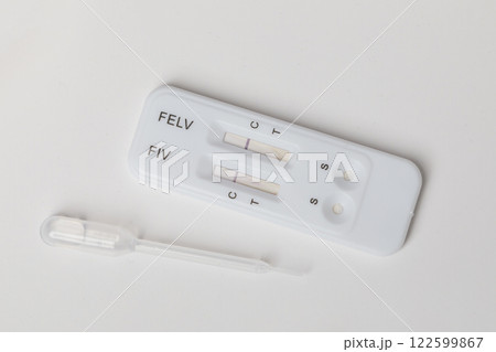 Veterinarian rapid test for detection of FIV and FeLV in cats on white background Veterinarian rapid test for detection of FIV and FeLV in cats on white background 122599867