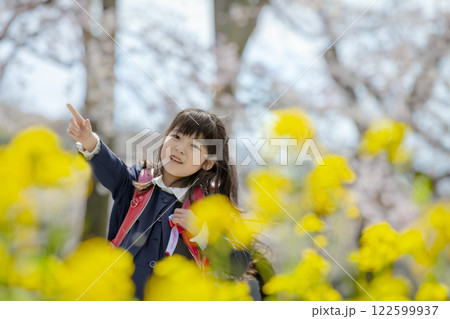 菜の花と桜の咲く公園を歩く小学一年生 122599937