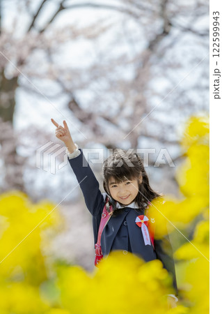 菜の花と桜の咲く公園を歩く小学一年生 122599943