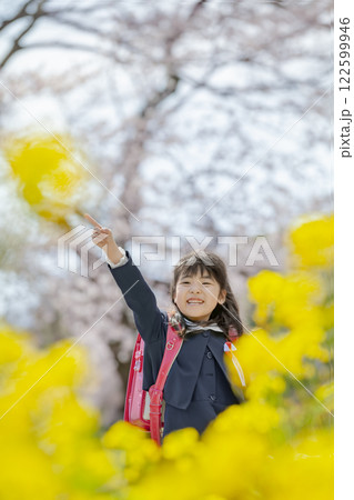 菜の花と桜の咲く公園を歩く小学一年生 122599946