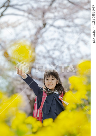 菜の花と桜の咲く公園を歩く小学一年生 122599947