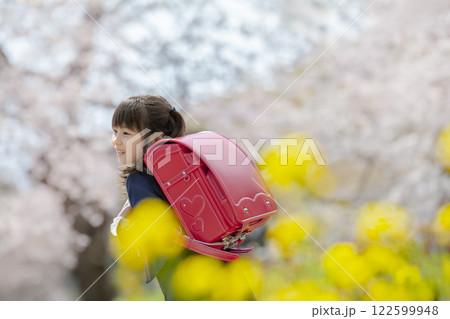 菜の花と桜の咲く公園を歩く小学一年生 菜の花と桜の咲く公園を歩く小学一年生 122599948
