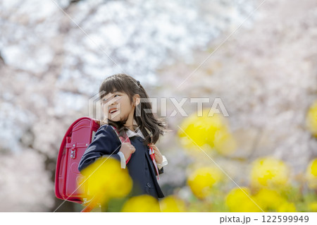 菜の花と桜の咲く公園を歩く小学一年生 菜の花と桜の咲く公園を歩く小学一年生 122599949