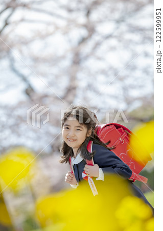 菜の花と桜の咲く公園を歩く小学一年生 122599951