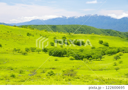 夏の霧ヶ峰と中央アルプスの遠望 夏の霧ヶ峰と中央アルプスの遠望 122600695