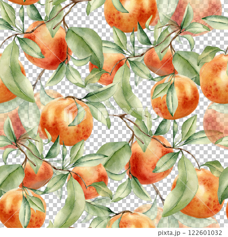 Grapefruits cluster on branches seamless pattern isolated on white. Watercolor citrus fruit trees on repeated texture. Hand drawn sprigs and red oranges in botanical background for textile, package 122601032