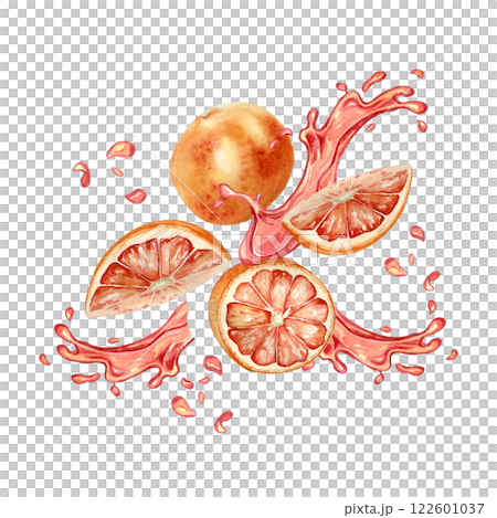 Red oranges segments and splash juice watercolor illustration isolated on white. Pieces of ripe citrus fruits and halves hand drawn. Fresh juicy grapefruits levitation. Design for label, packaging. Red oranges segments and splash juice watercolor illustration isolated on white. Pieces of ripe citrus fruits and halves hand drawn. Fresh juicy grapefruits levitation. Design for label, packaging. 122601037