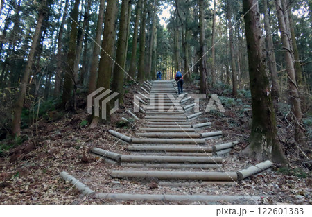 埼玉県長瀞町の宝登山へ登る長い階段を歩く登山者 埼玉県長瀞町の宝登山へ登る長い階段を歩く登山者 122601383