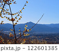 埼玉県長瀞町の宝登山から眺めるロウバイの花と武甲山と秩父の街 122601385
