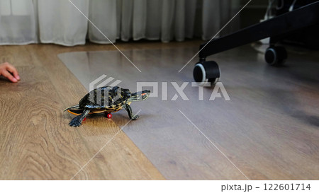 e turtle rides a tiny skateboard across a hardwood floor, moving towards an office chair in a playful and imaginative setup. The image captures the whimsy of using everyday objects for creative pet e turtle rides a tiny skateboard across a hardwood floor, moving towards an office chair in a playful and imaginative setup. The image captures the whimsy of using everyday objects for creative pet 122601714