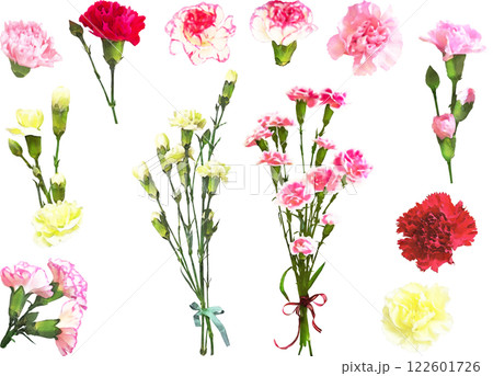 春の花のイラスト素材セット(カーネーション) 春の花のイラスト素材セット(カーネーション) 122601726