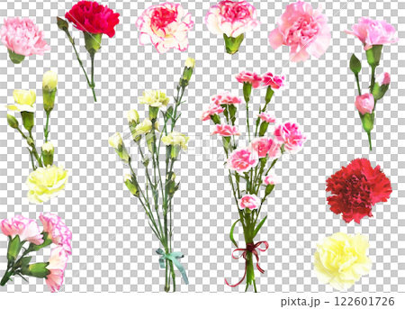 Spring flower illustration material set (carnation) 122601726