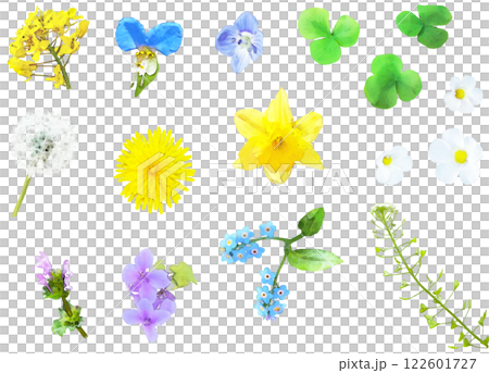 Spring flower illustration material set (wildflowers 1) 122601727