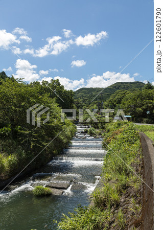 夏の伊豆旅行　シュノーケリング　海水浴 122601790