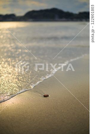 夏の伊豆旅行　シュノーケリング　海水浴 122601803
