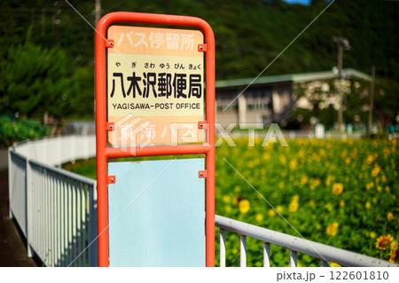 夏の伊豆旅行　シュノーケリング　海水浴 122601810