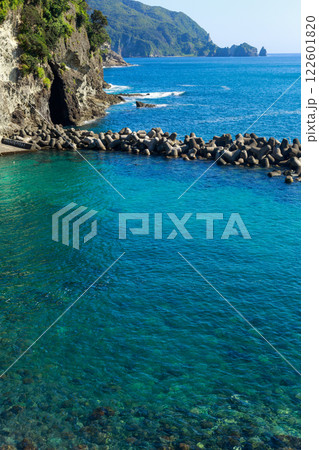 夏の伊豆旅行 シュノーケリング 海水浴 夏の伊豆旅行 シュノーケリング 海水浴 122601820