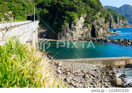 夏の伊豆旅行　シュノーケリング　海水浴 122601830
