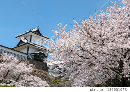 桜満開の石川門 桜満開の石川門 122601978