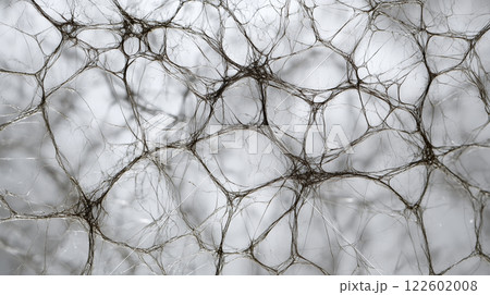 Close-up of neurons, neural network, nervous system, detail intricate of connections background 122602008