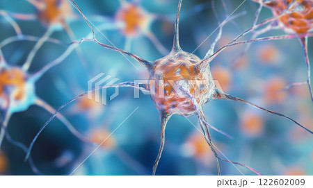 Close-up of neurons, neural network, nervous system, detail intricate of connections background 122602009