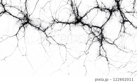 Close-up of neurons, neural network, nervous system, detail intricate of connections background 122602011