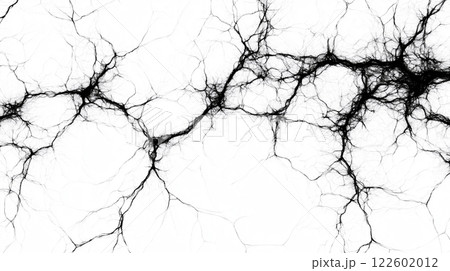 Close-up of neurons, neural network, nervous system, detail intricate of connections background 122602012