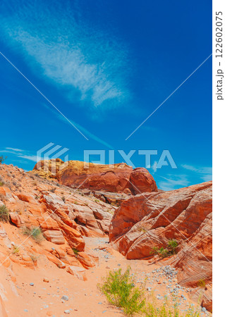 Valley of Fire State Park in Nevada, USA 122602075