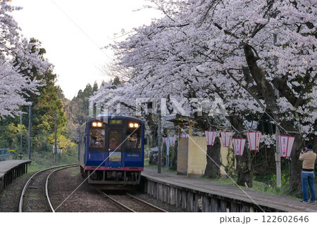 桜の季節ののと鉄道 桜の季節ののと鉄道 122602646