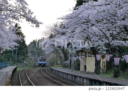 桜の季節の能登さくら駅 122602647