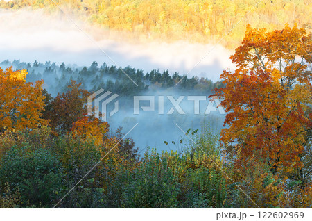 Aerial view of the colorful red, orange and yellow trees of a forest and river in a morning fog 122602969