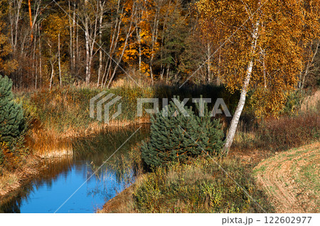Autumn landscape with birch and water in ditch near a forest with colorful tree foliage in Latvia Autumn landscape with birch and water in ditch near a forest with colorful tree foliage in Latvia 122602977