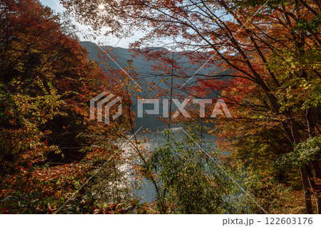 奥多摩紅葉 家族旅行 日帰り旅行 奥多摩紅葉 家族旅行 日帰り旅行 122603176