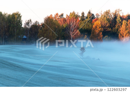 Autumn morning landscape with fog over frosty golf courses in Sigulda, Latvia Autumn morning landscape with fog over frosty golf courses in Sigulda, Latvia 122603297