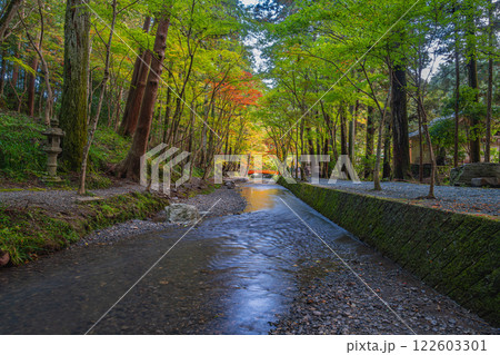 森町の遠江国一宮小國神社のもみじまつりの紅葉の風景(静岡県) 122603301