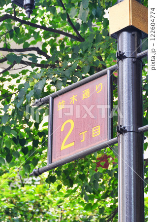並木通り(東京都中央区銀座) 並木通り(東京都中央区銀座) 122604774