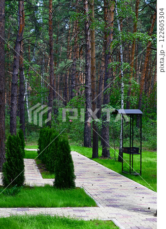 Serene pathway through a tranquil forest with neatly trimmed greenery and a canopy structure 122605304