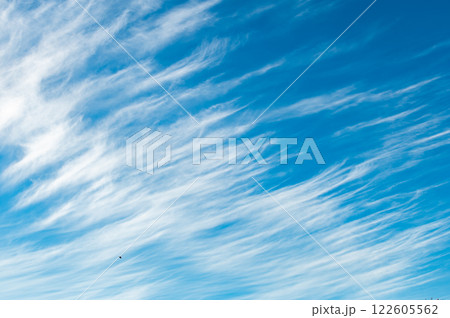 Cirrus vertebratus is a type of cirrus cloud. Blue sky background. Cirrus vertebratus is a type of cirrus cloud. Blue sky background. 122605562