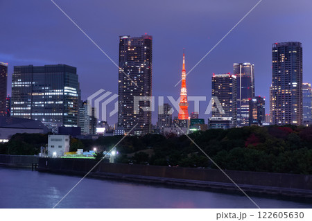 東京　汐留の夜景とライトアップした東京タワー 122605630
