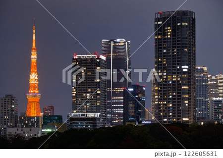 東京　汐留の夜景とライトアップした東京タワー 122605631