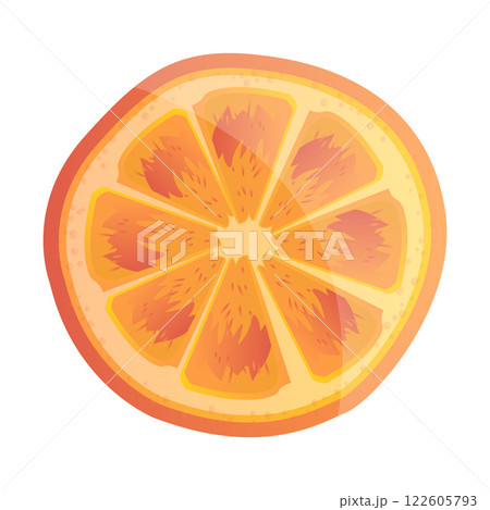 Sliced fresh fruit citrus orange cartoon illustration image Sliced fresh fruit citrus orange cartoon illustration image 122605793