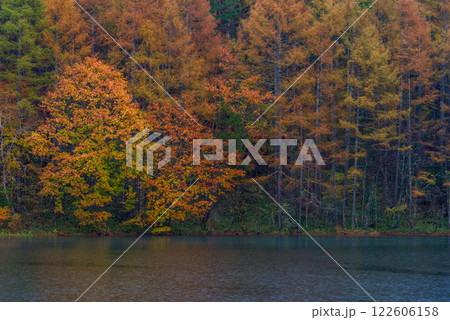 【長野県】雨の日の御射鹿池・紅葉 122606158